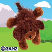 brown lab webkinz