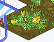 Weedy Watermelons 2