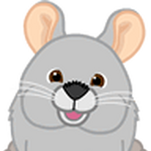 webkinz chinchilla