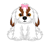 webkinz shih tzu