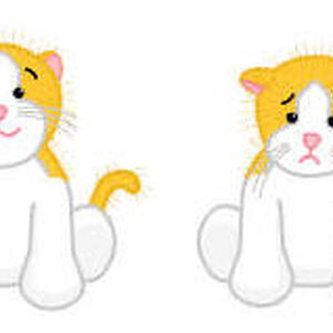 Gold White Cat Webkinz Wiki Fandom