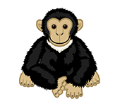 webkinz signature chimpanzee