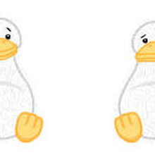 white platypus webkinz