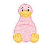 pink google webkinz