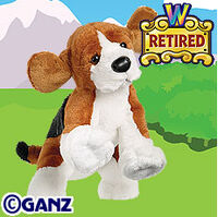 webkinz beagle