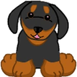 webkinz dachshund