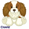 Signature King Charles Cocker Spaniel