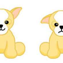 webkinz chihuahua game