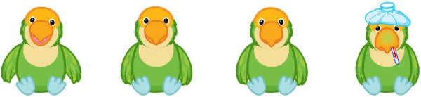 webkinz parakeet