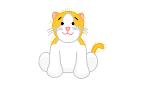 webkinz gold and white cat