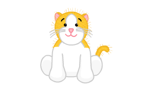 orange cat webkinz