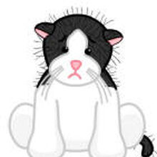 Black White Cat Webkinz Wiki Fandom