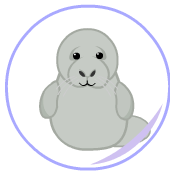 webkinz manatee