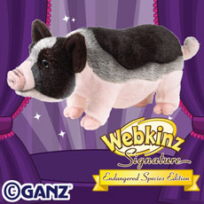 webkinz pot bellied pig