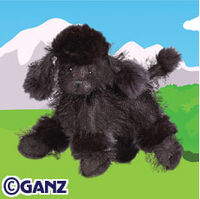 webkinz black poodle