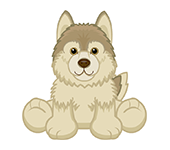 webkinz signature wolf