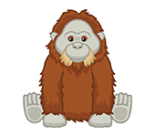 webkinz orangutan