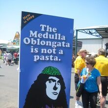 Al S Brain Weird Al Wiki Fandom