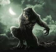 Unknown-1