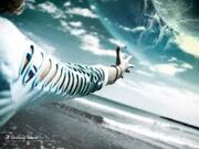 Images-22345