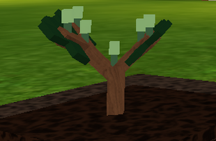 Rainbow Pepper Welcome To Farmtown Wiki Fandom Powered - farmtown roblox giving tree