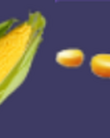 roblox welcome to farmtown 2 how to feed chickens Corn Welcome To Farmtown Beta Wiki Fandom