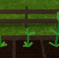 roblox welcome to farmtown 2 how to feed chickens Corn Welcome To Farmtown Beta Wiki Fandom