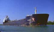 Algobay1