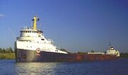 Algocape (2)