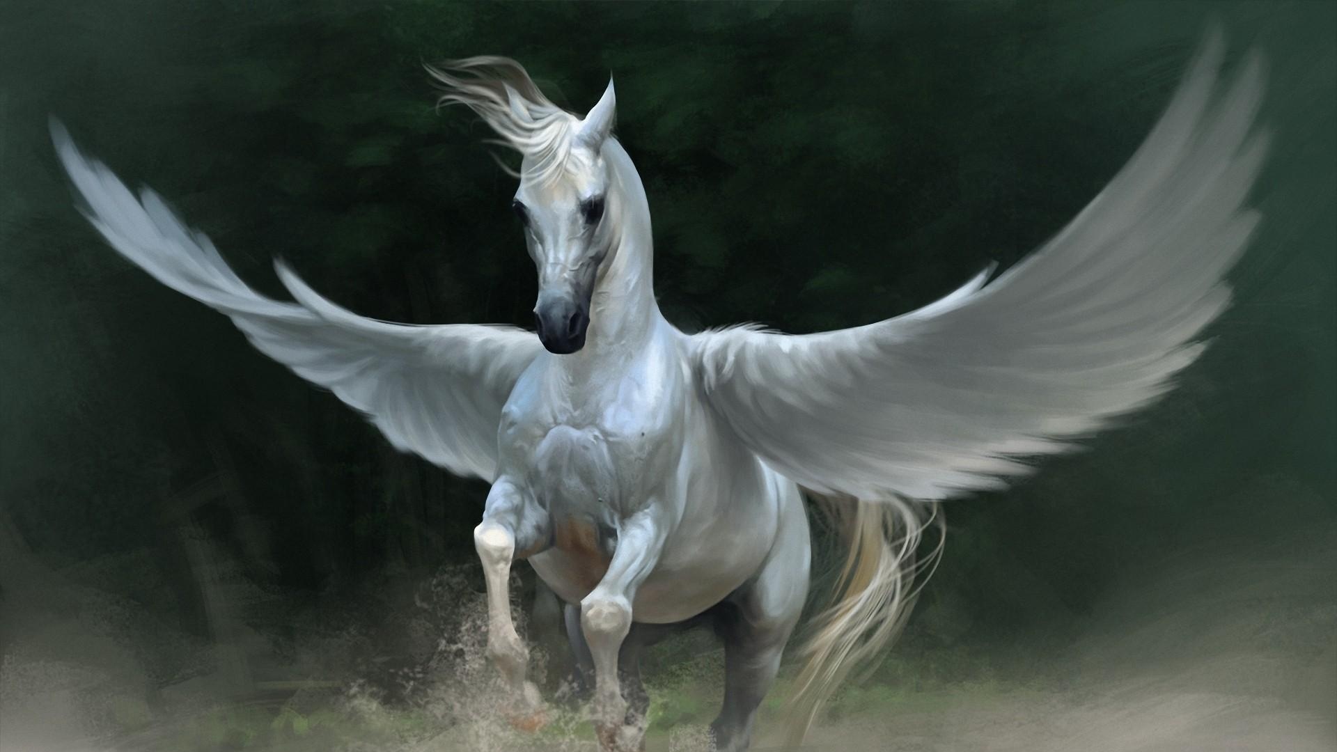 Bild - Pegasus-weis-pferd-flugel.jpg | WdM Wikia | FANDOM powered by Wikia