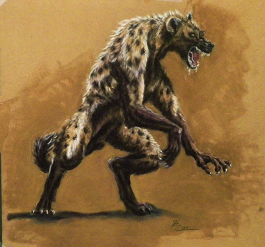 Image - Werehyena.jpg | Werebeasts Wikia | FANDOM powered by Wikia