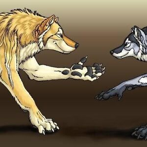 Werewolf Werecreature Wiki Fandom
