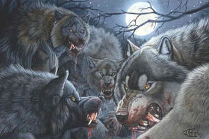 Werewolf pack