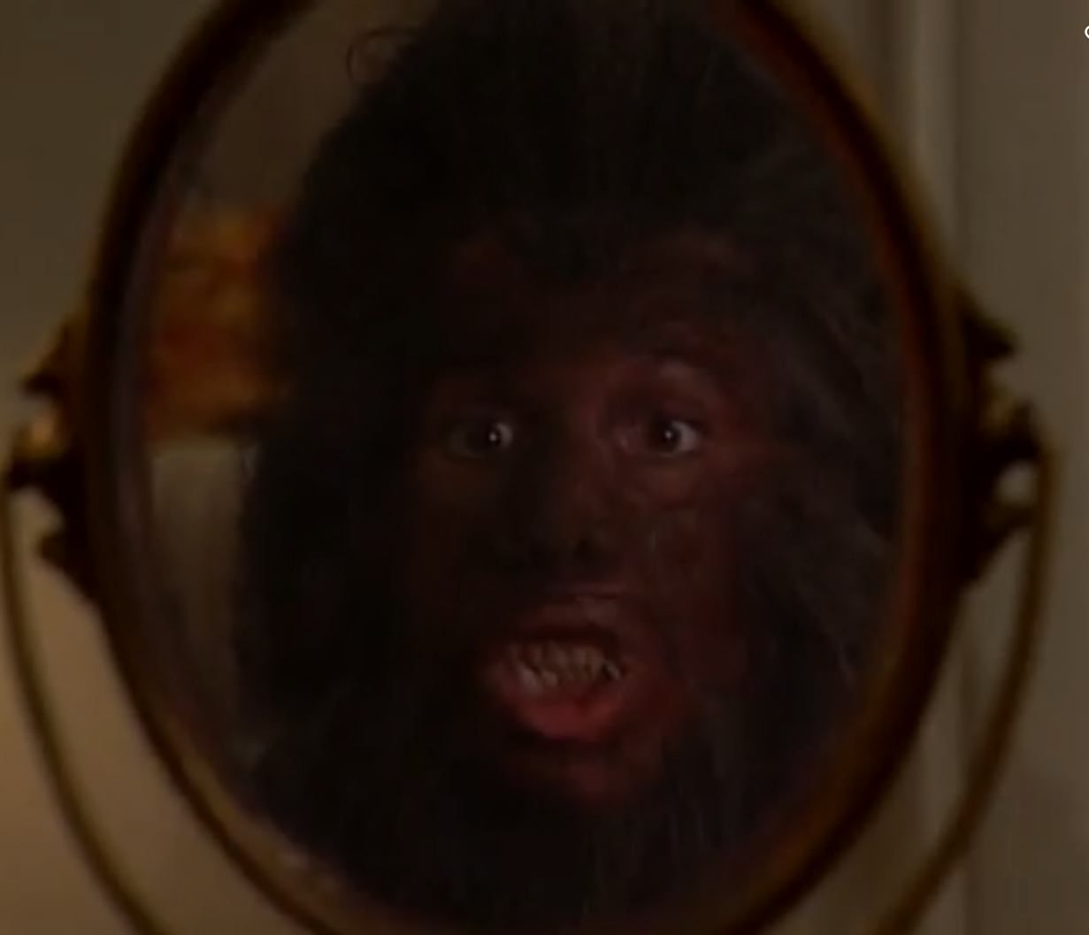 Cory Matthews | WereWiki | Fandom
