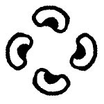 Icon beanshield