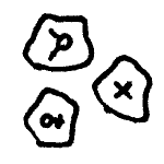Ensorcelled skull chips icon