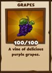 Screenshot grapes