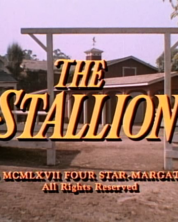 The Stallion The Big Valley Episode Western Series Wiki Fandom - roblox horse valley script