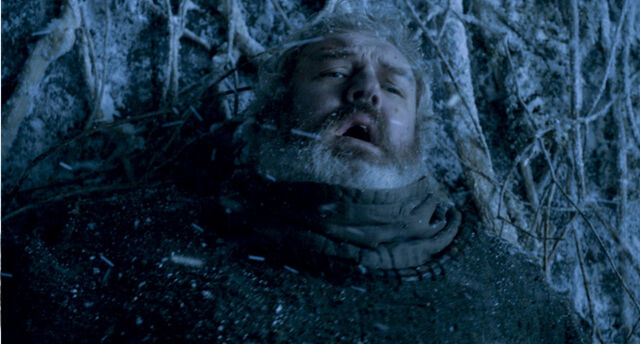 Plik:Hodor3.jpg