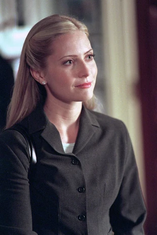 Ainsley Hayes | West Wing Wiki | Fandom