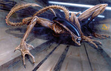 Alien The Weyland-Yutani Report7