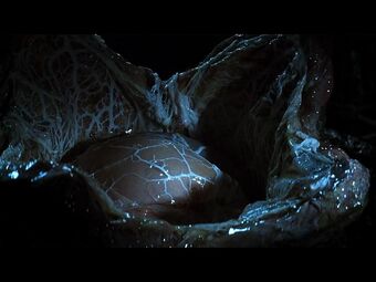 Alien Egg Weyland Yutani Corporation Wiki Fandom