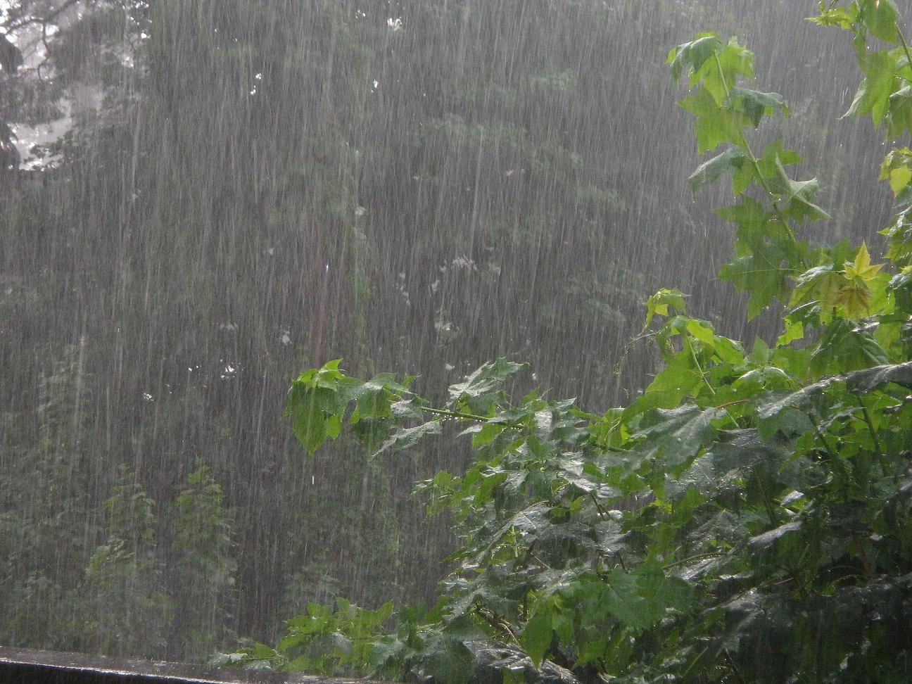 Deszcz To Wyjątkowo Obfity Opad Który Może Doprowadzić Do Powodzi Sadystic - W okopach | WH40K Fanon Wiki | FANDOM powered by Wikia