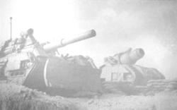 Taros10