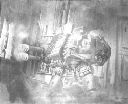 Taros6