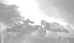 Taros11
