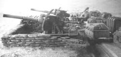 Taros13
