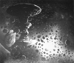 Taros1