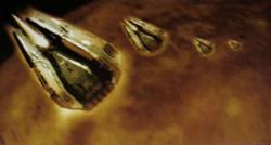 Taros4