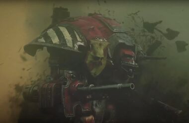 Rycek z dow 3